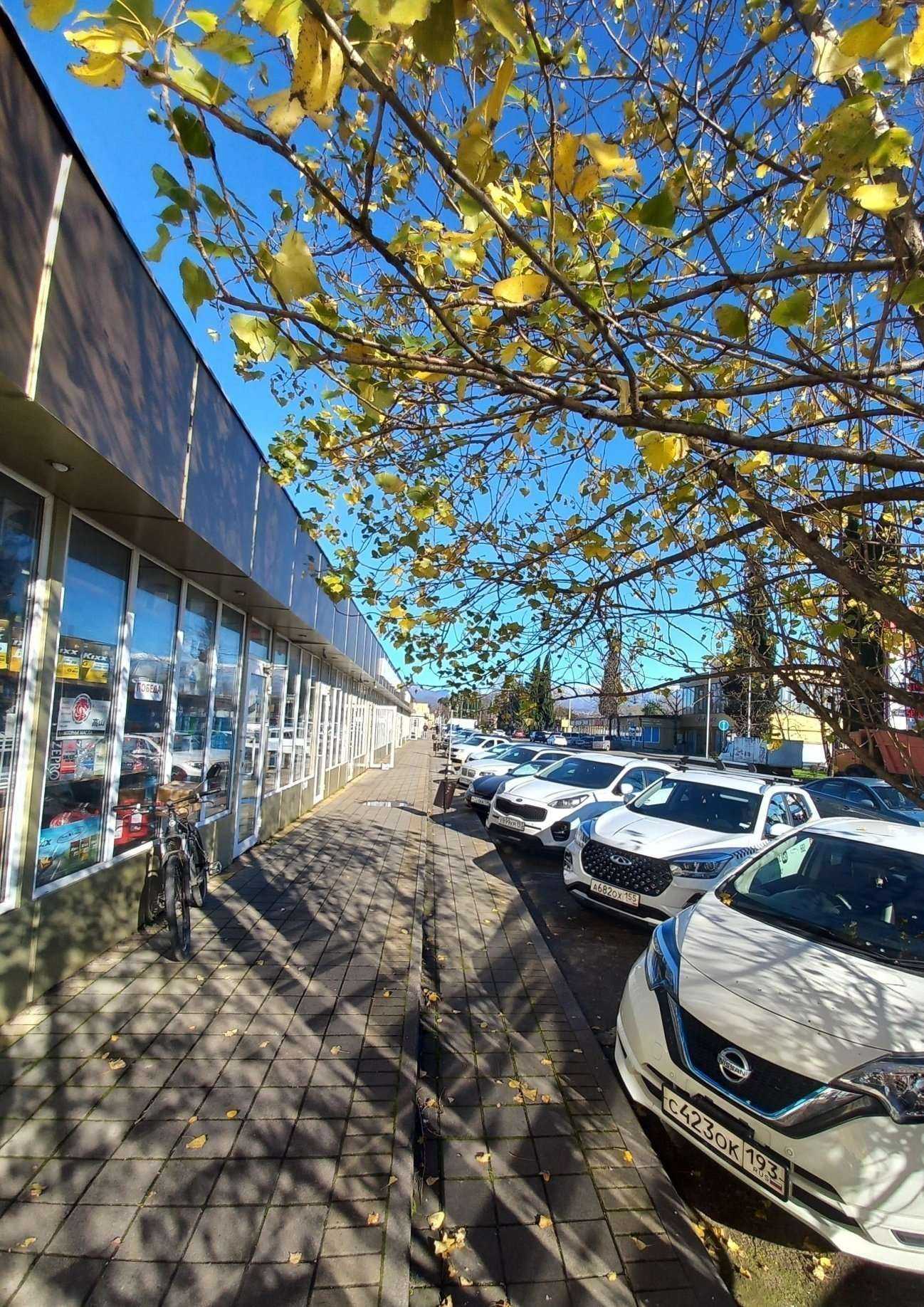 Отзывы на компанию Адреналин в Сочи c фото - фотография 2 из 2