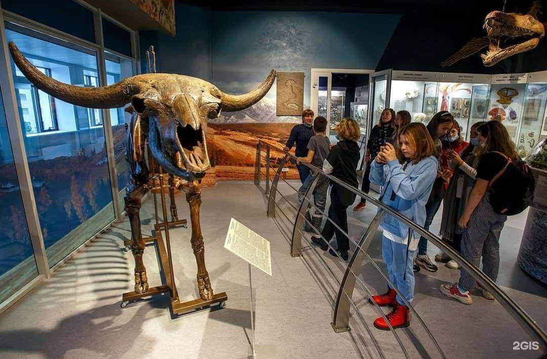 Отзывы на компанию Сова в г. Новосибирск c фото