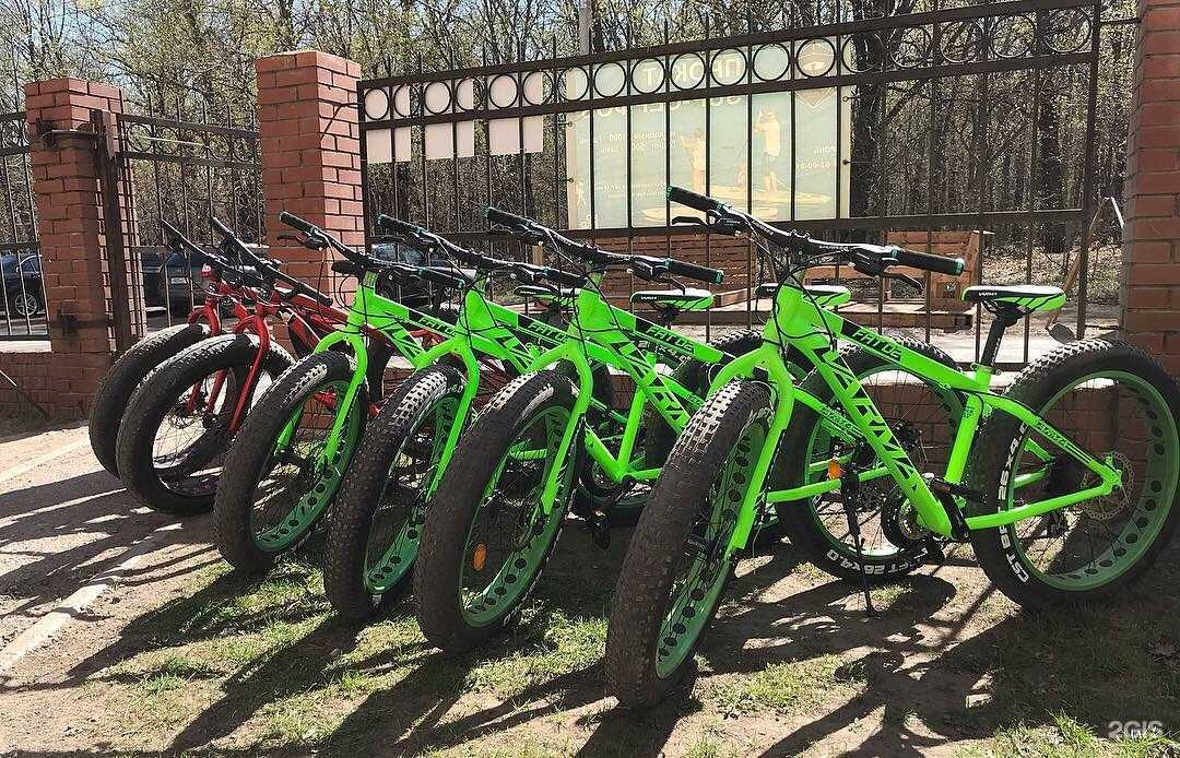 Отзывы на компанию No Bad Days в г. Тольятти c фото