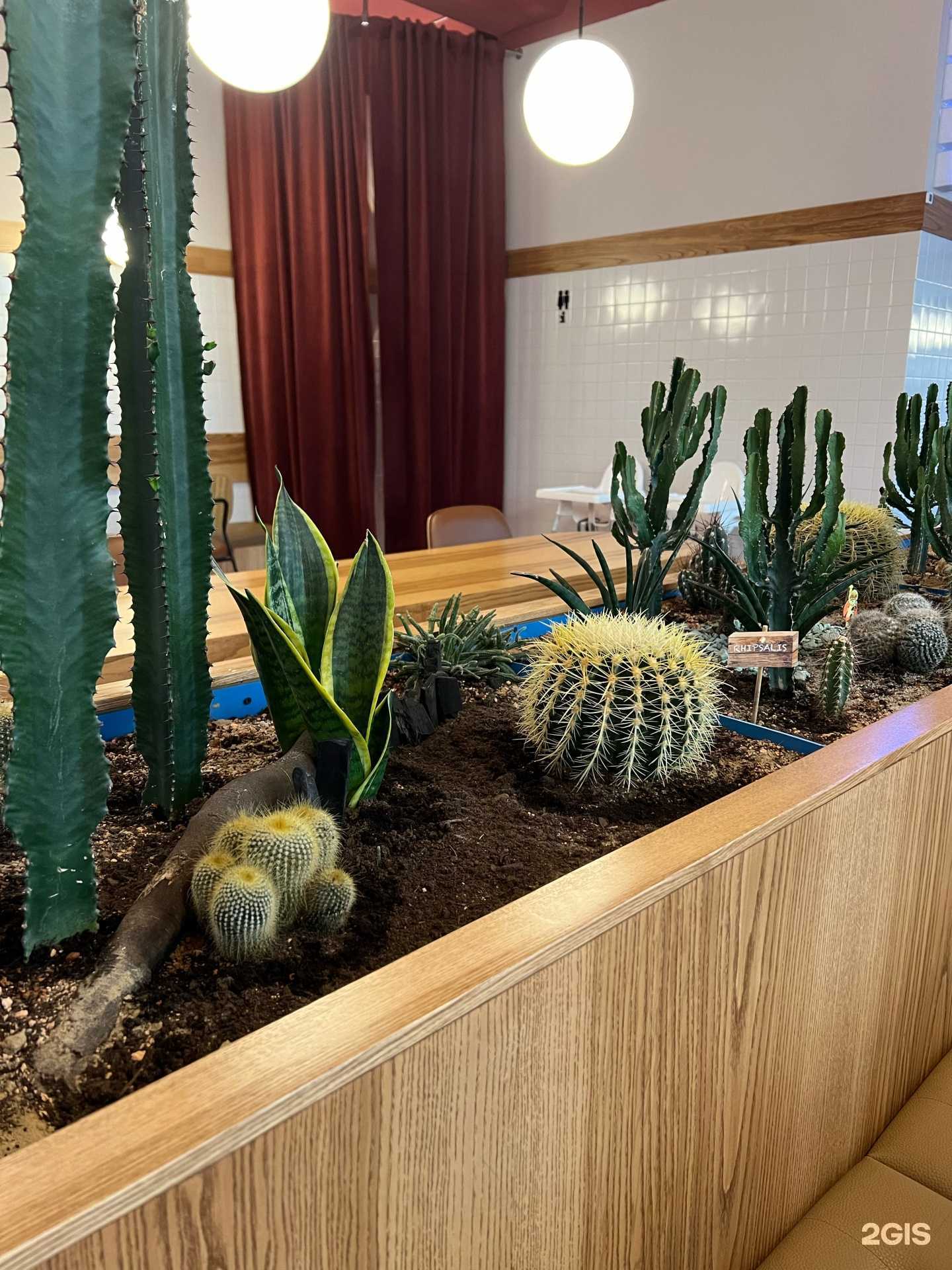 Отзывы на компанию Дружба в г. Буйнакск c фото