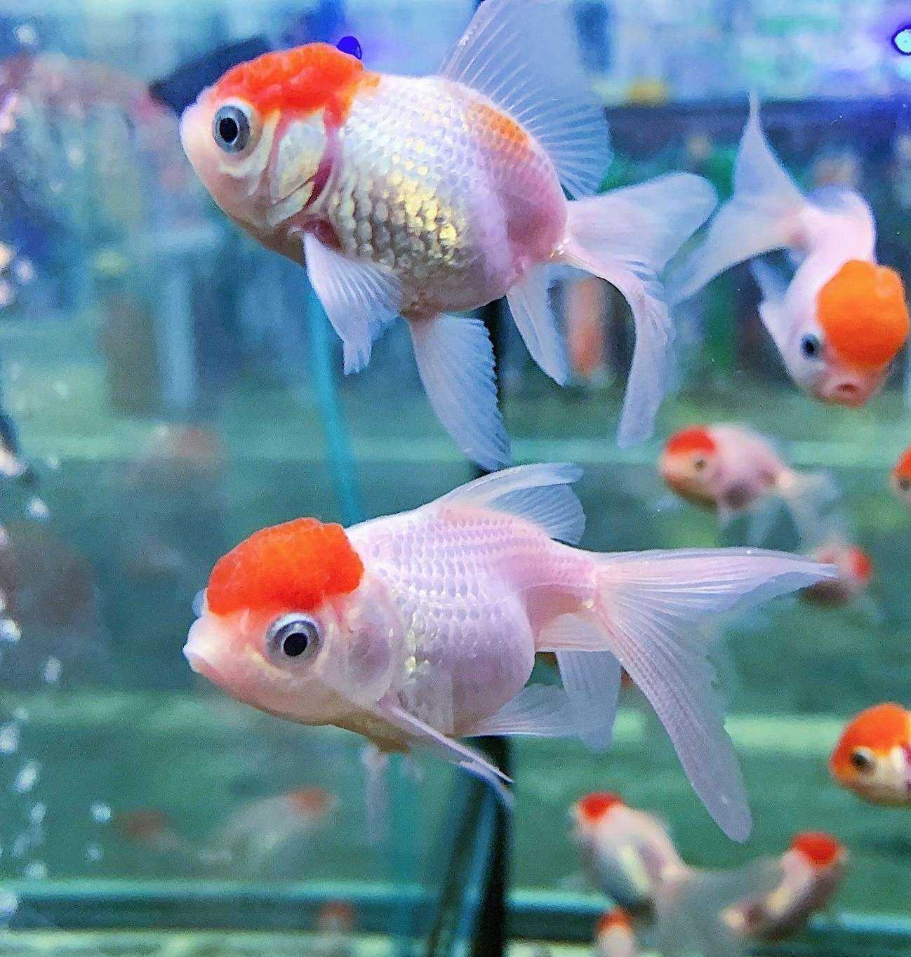 Отзывы на компанию Тоша в Оренбурге c фото