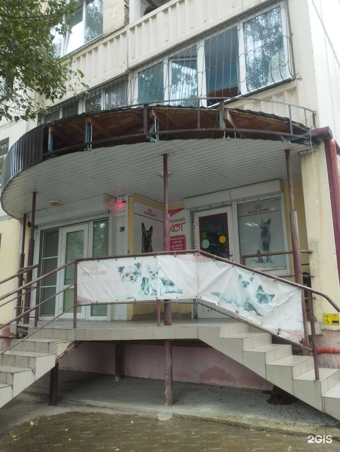 Отзывы на компанию Рыжий кот в Ростове-на-Дону c фото