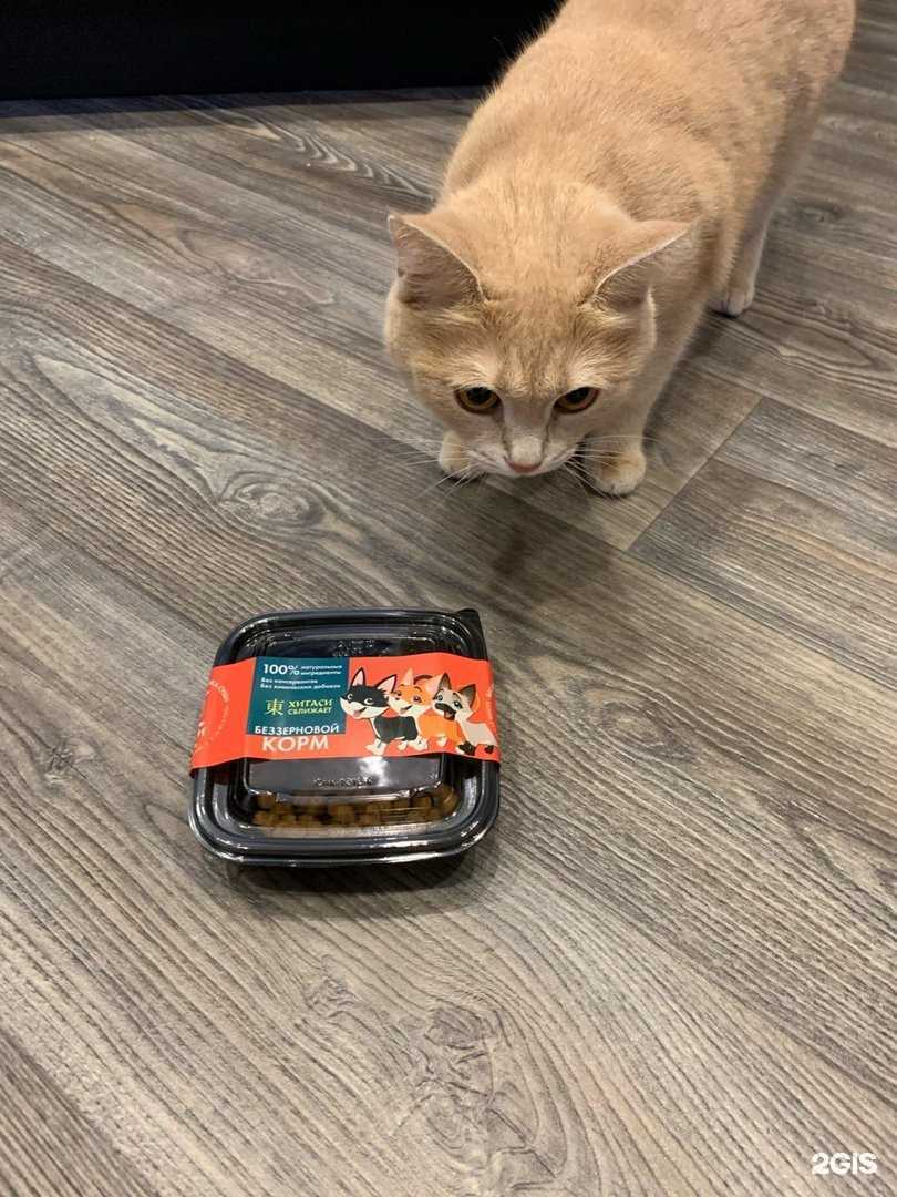 Отзывы на компанию Хигаси в г. Тула c фото