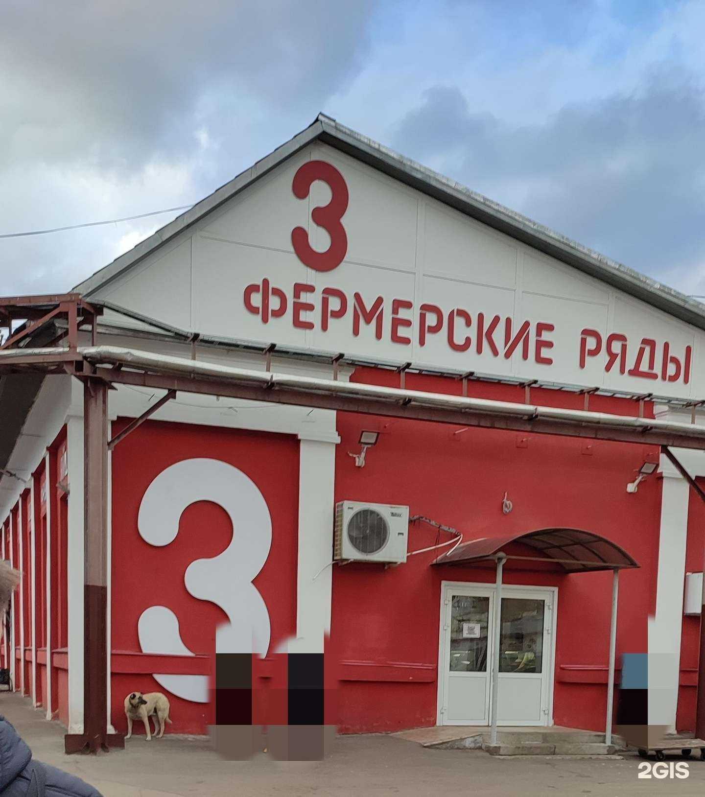 Отзывы на компанию Самокат в Нижнем Новгороде c фото - фотография 2 из 2