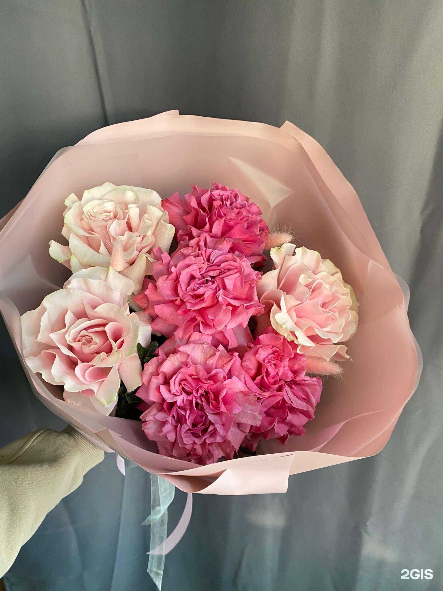 Отзывы на компанию Mondial в Геленджике c фото