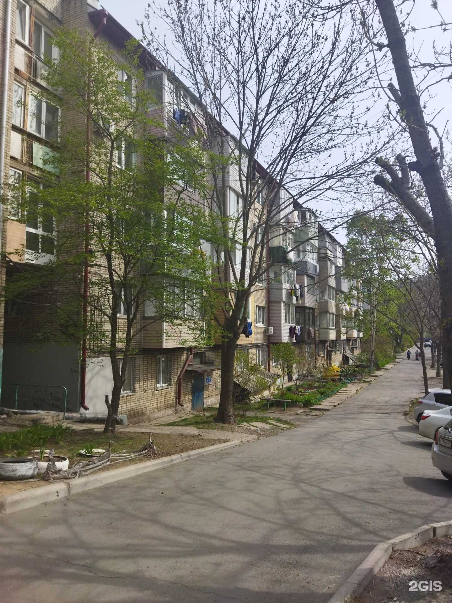 Отзывы на компанию Семья в Находке c фото - фотография 2 из 2