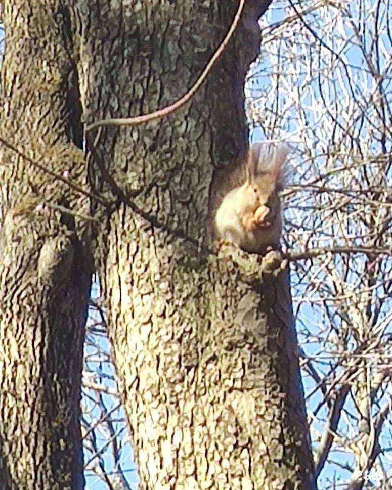 Отзывы на компанию Клевер в г. Ессентуки c фото