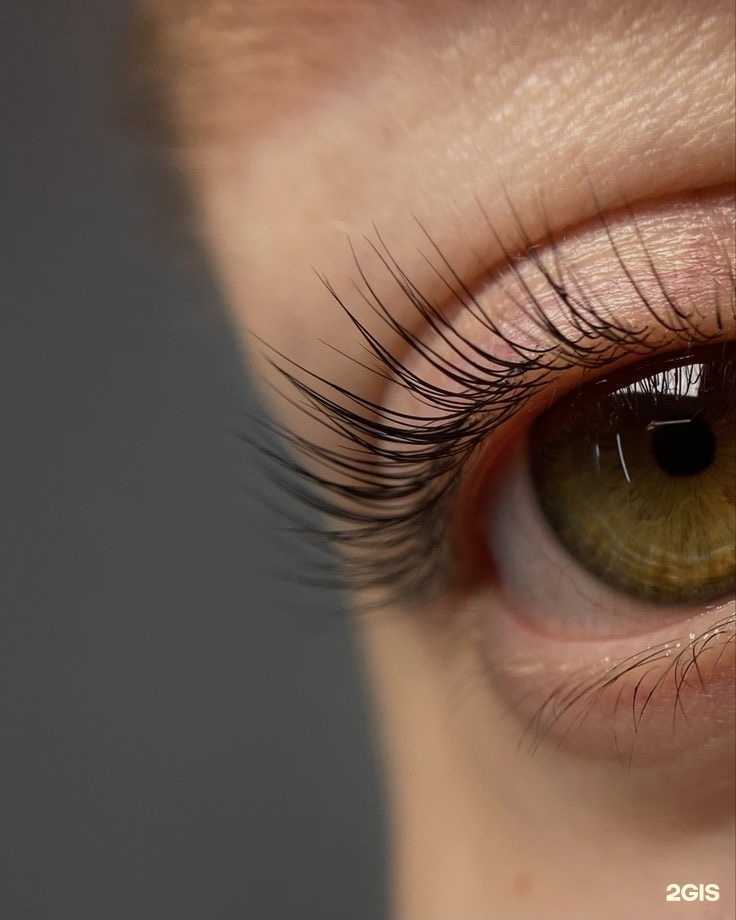 Отзывы на компанию Территория идеального взгляда в г. Саратов c фото