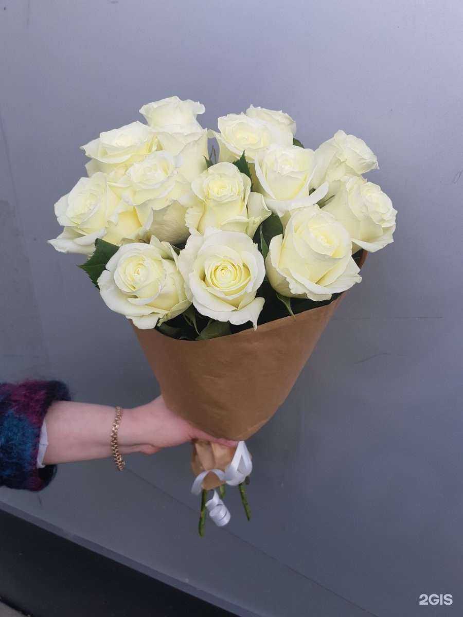 Отзывы на компанию Светлана в г. Калининград c фото