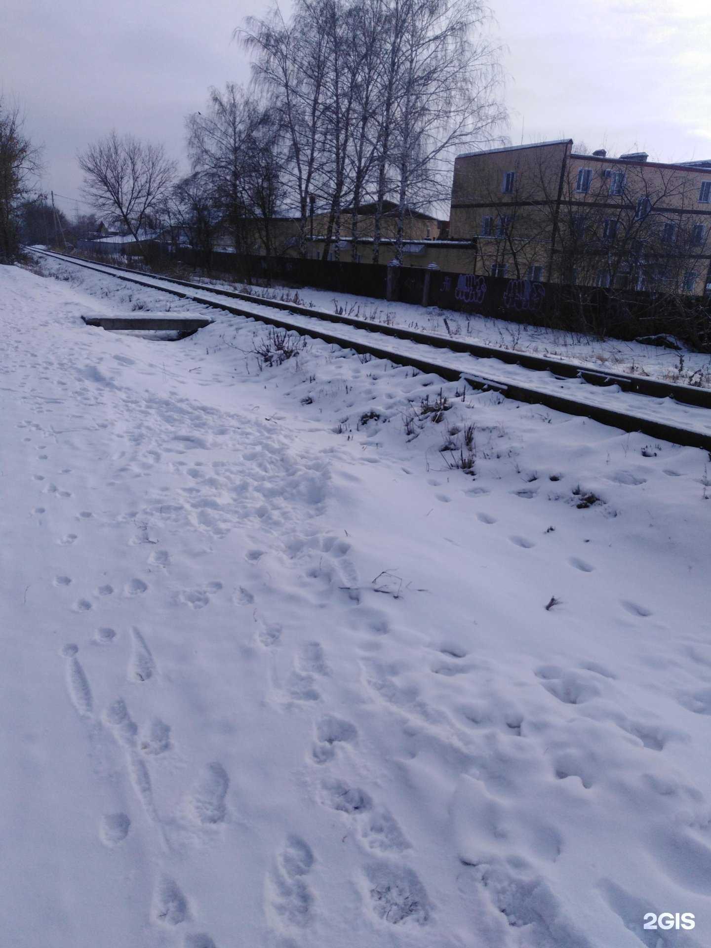 Отзывы на компанию ЦСБ в Тамбове c фото - фотография 2 из 2