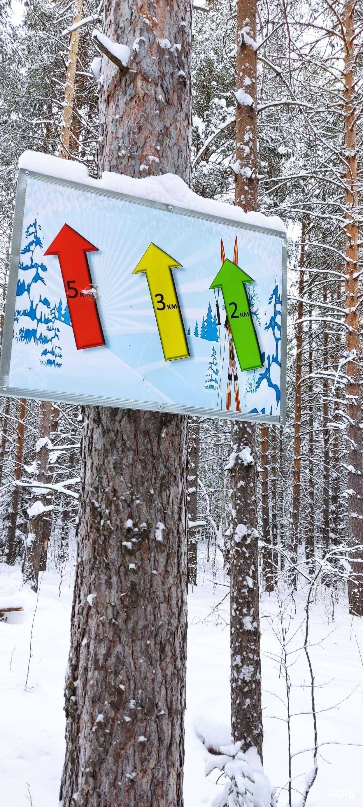 Отзывы на компанию Центр физкультурно- спортивных мероприятий в Полевское c фото