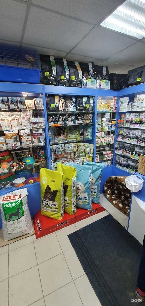 Отзывы на компанию Айболит 74 в г. Чебаркуль c фото