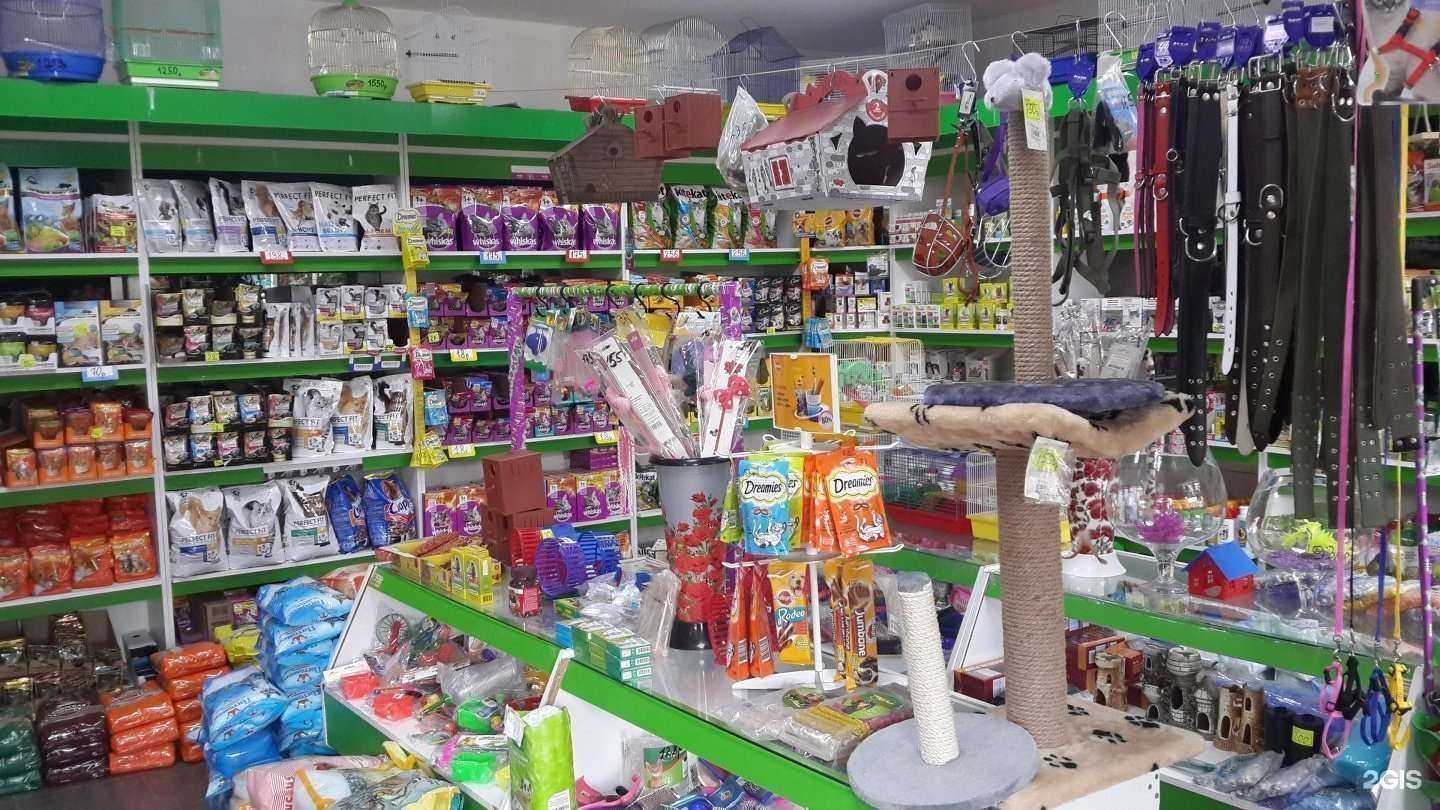 Отзывы на компанию Кот & Пес в Махачкале c фото