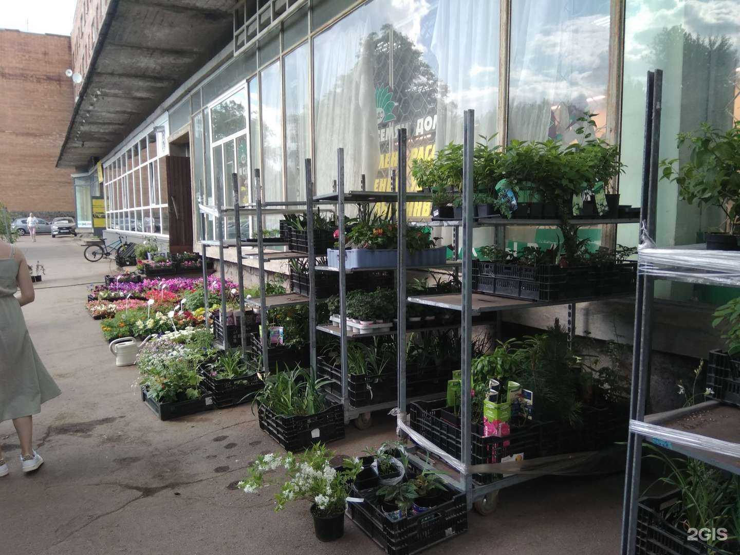 Отзывы на компанию Дом семян в г. Выборг c фото