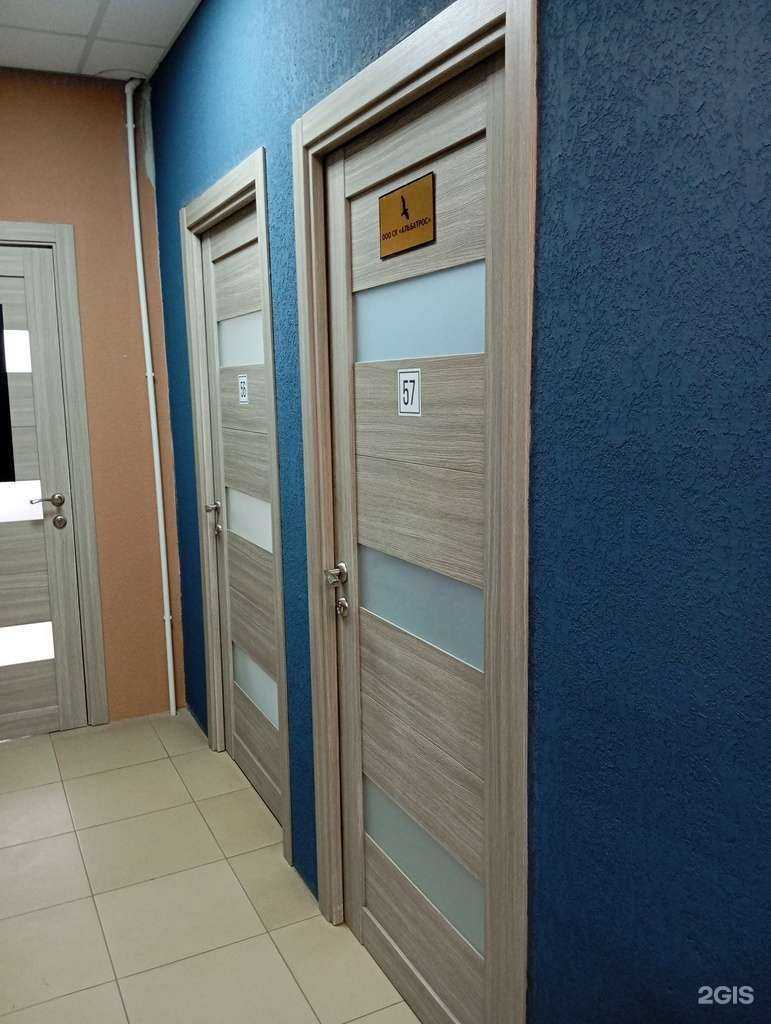 Отзывы на компанию Альбатрос в г. Воронеж c фото