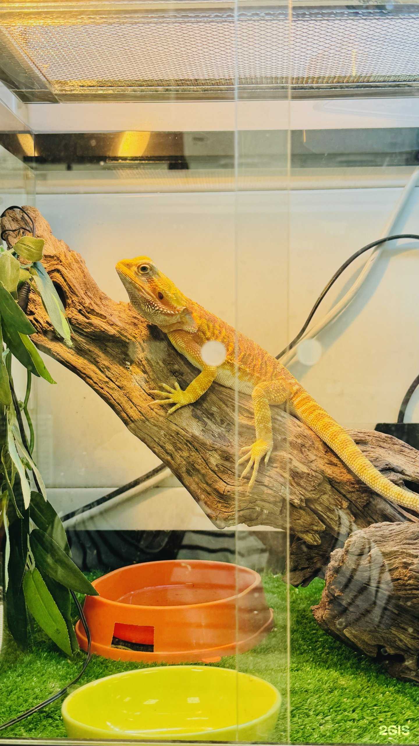 Отзывы на компанию Розовый слон в Хабаровске c фото