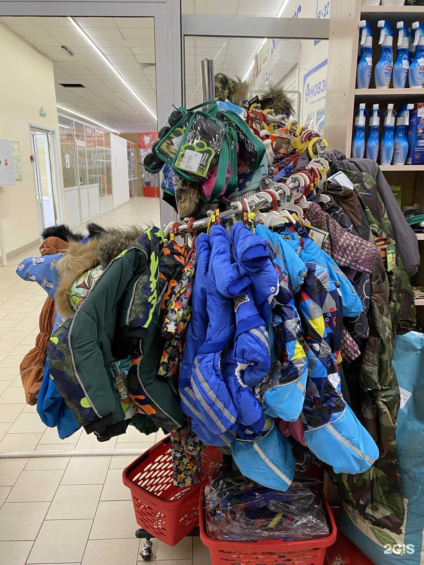 Отзывы на компанию Зверушки в Кемерове c фото