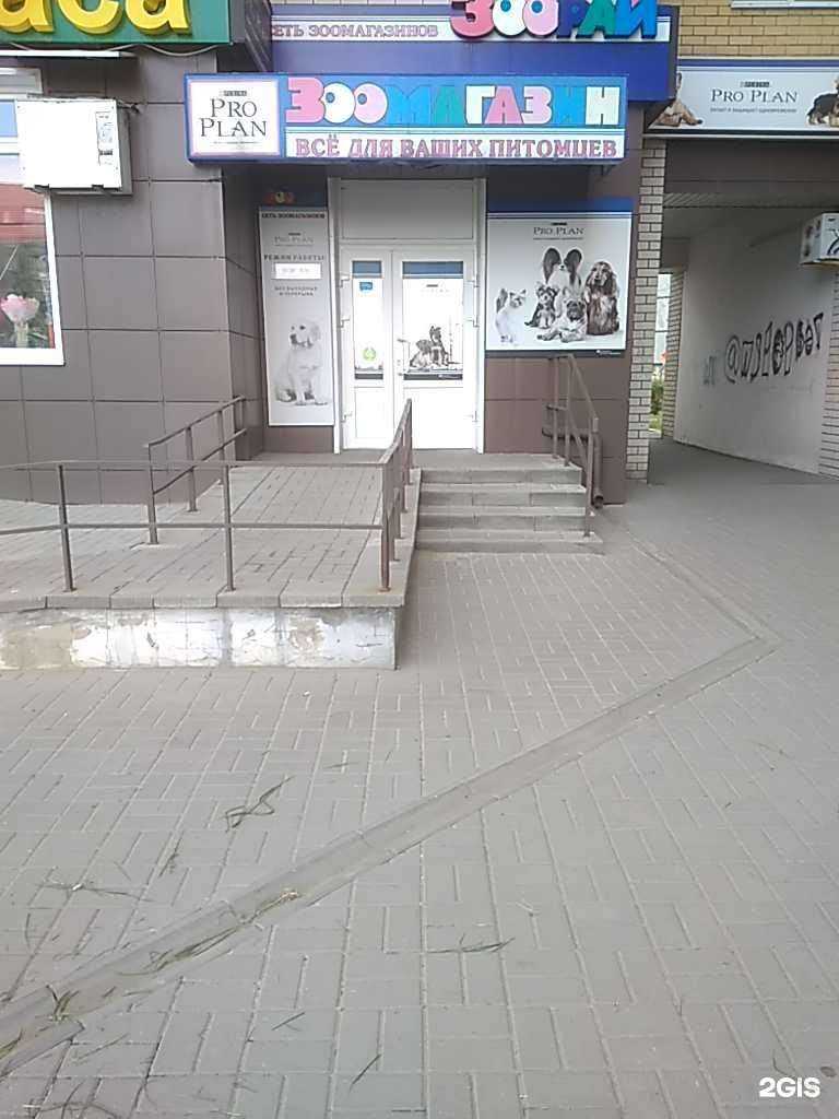 Отзывы на компанию Зоорай в Тамбове c фото