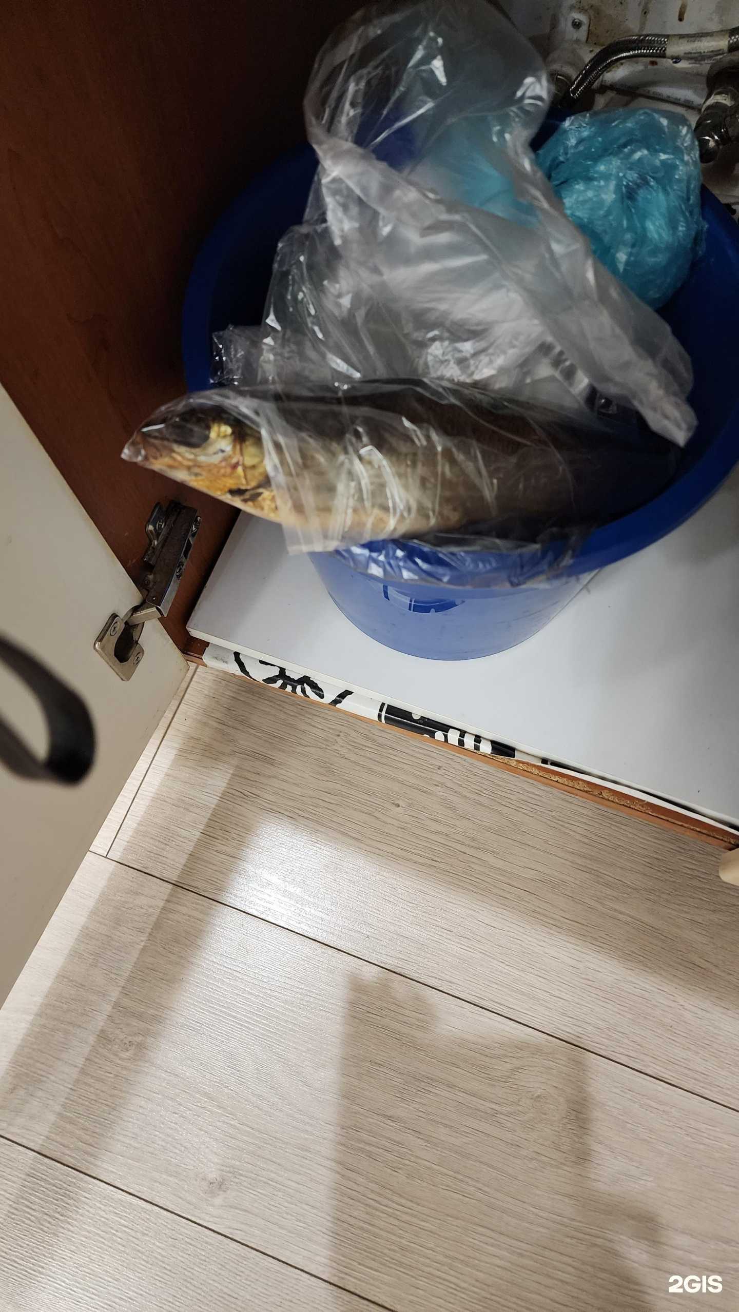 Отзывы на компанию Магазин рыбной продукции в г. Тюмень c фото