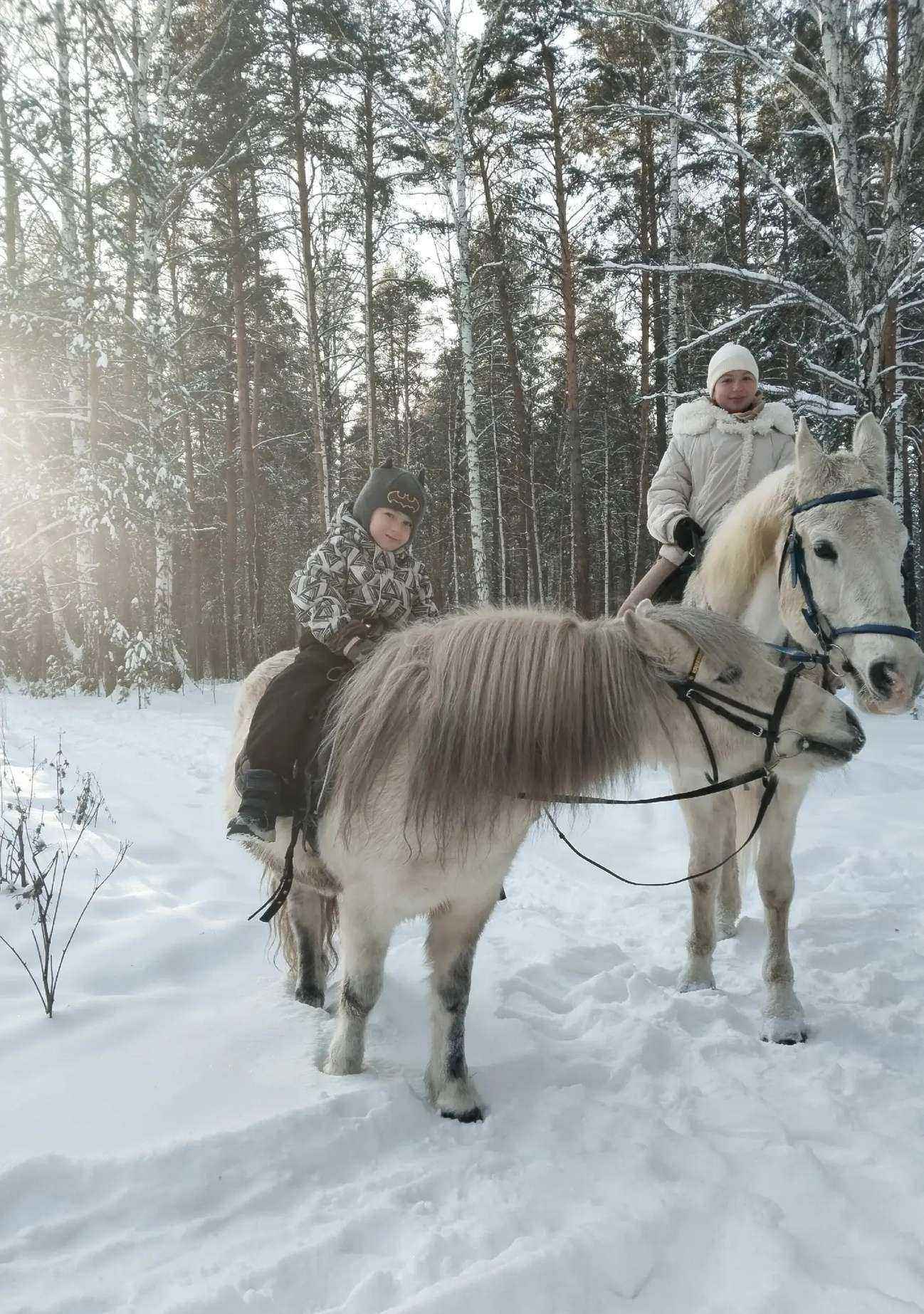 Отзывы на компанию Дозор в Екатеринбурге c фото