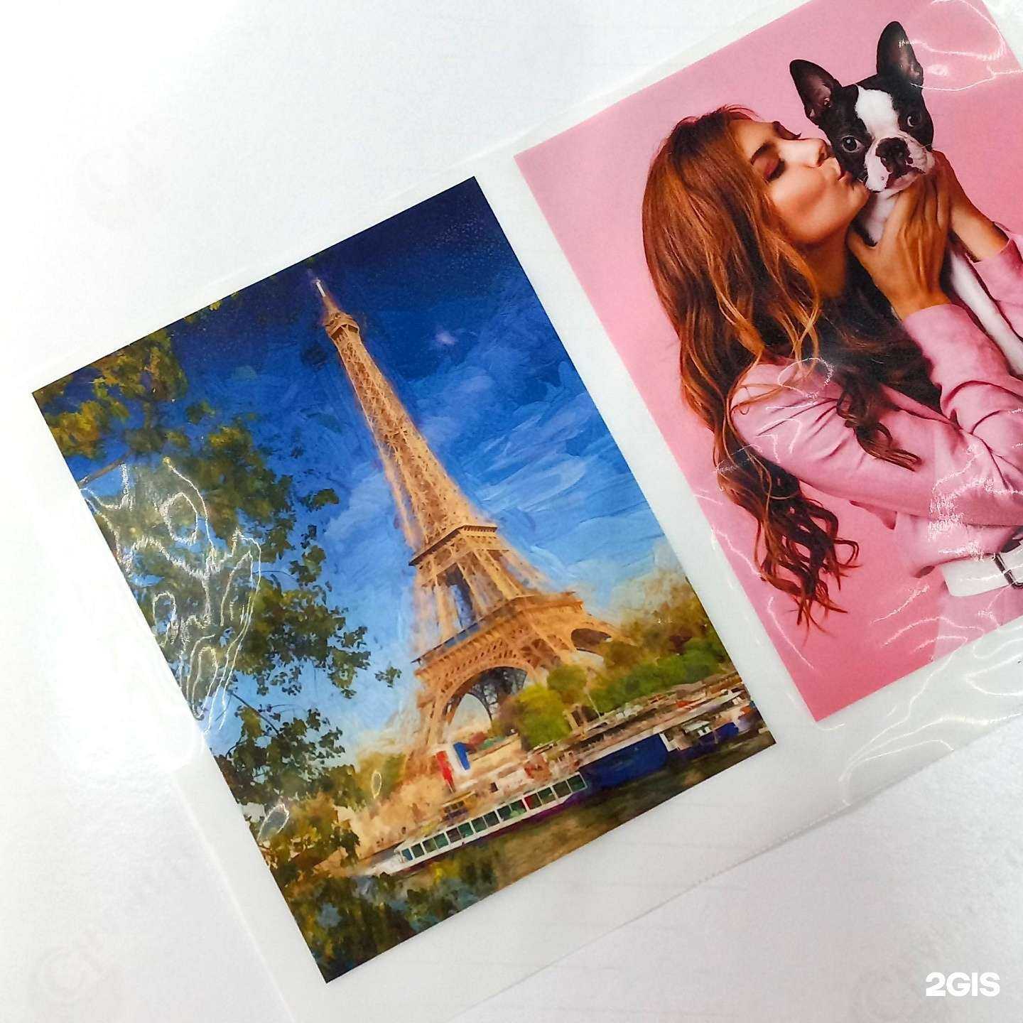 Отзывы на компанию Асгард в Новосибирске c фото