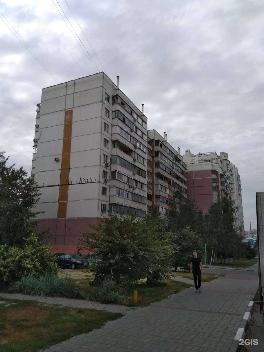 Отзывы на компанию МедВет31 в Белгороде c фото - фотография 2 из 2