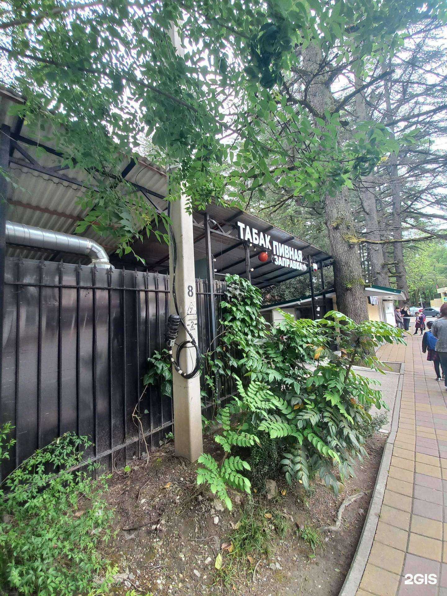 Отзывы на компанию Nicotine в Сочи c фото - фотография 2 из 2