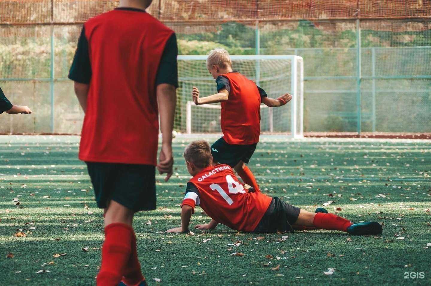 Отзывы на компанию Галактикос в Тольятти c фото