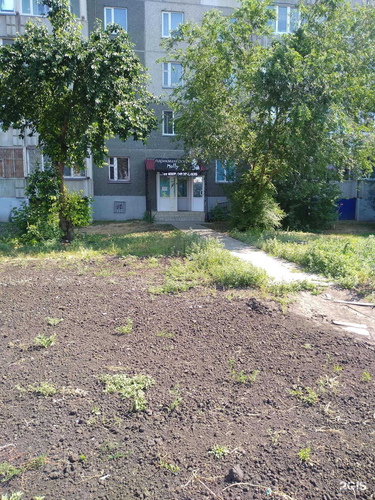 Отзывы на компанию Molly в Кургане c фото