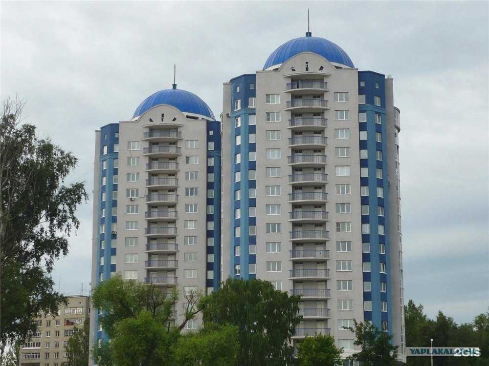 Отзывы на компанию Наш Groomер в Ярославле c фото - фотография 2 из 2