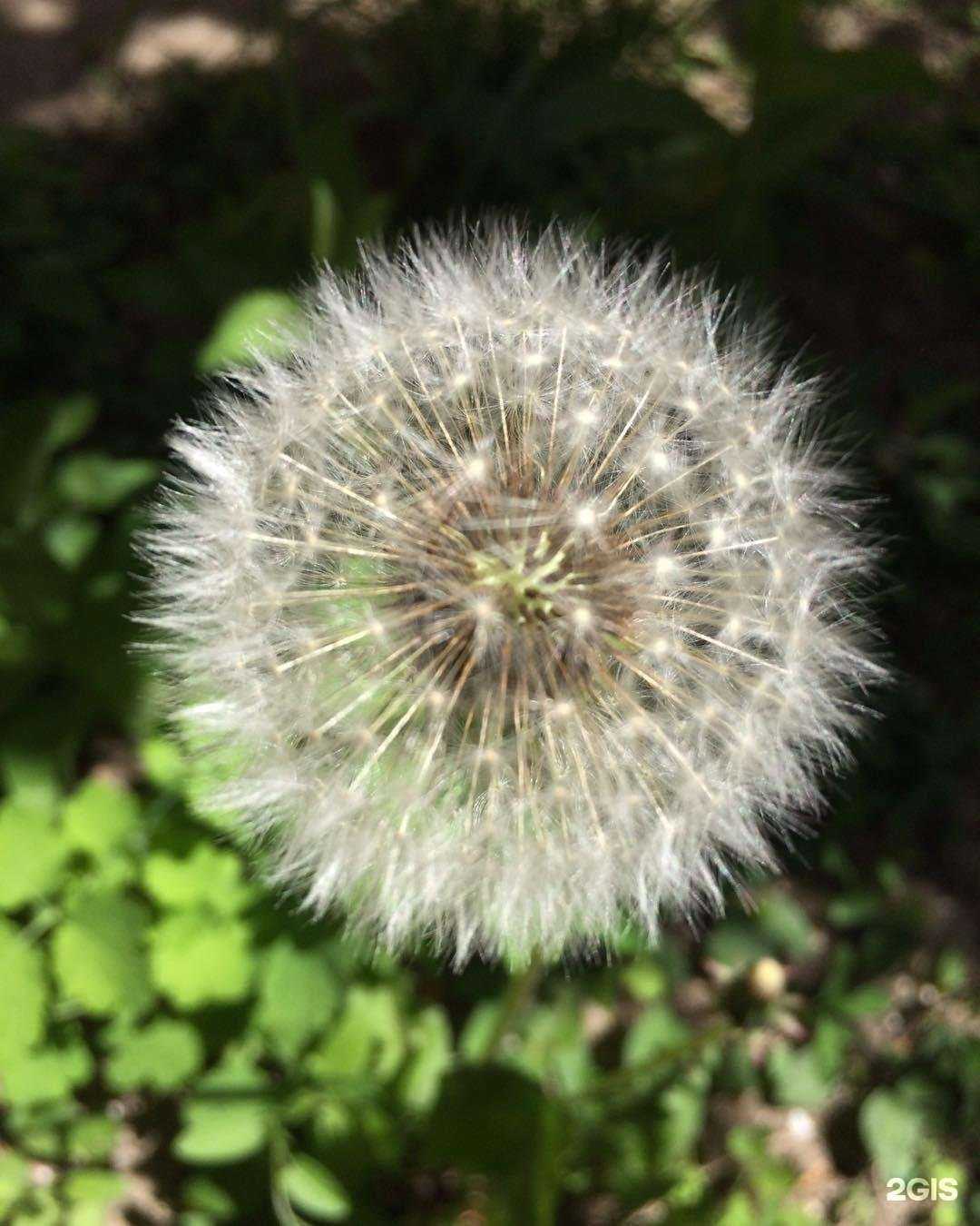 Отзывы на компанию Kuban.Travel, курортное агентство в г. Ейск c фото