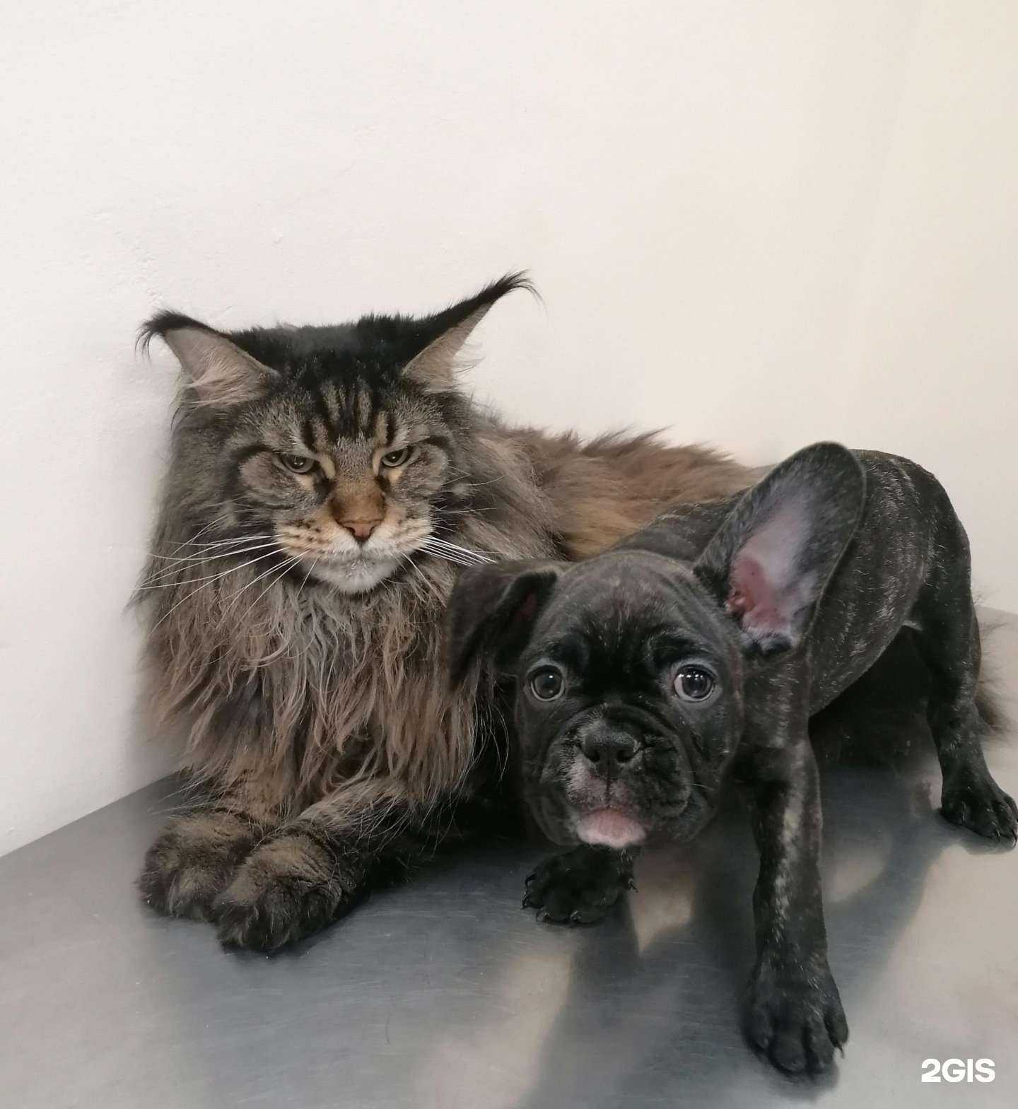 Отзывы на компанию Ваш добрый доктор в г. Барнаул c фото