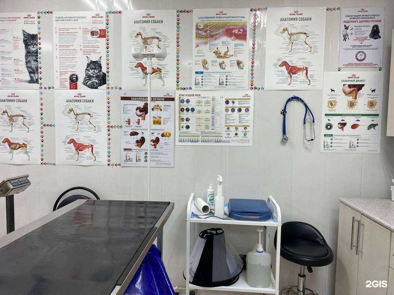 Отзывы на компанию АлексВЕТ в Орле c фото