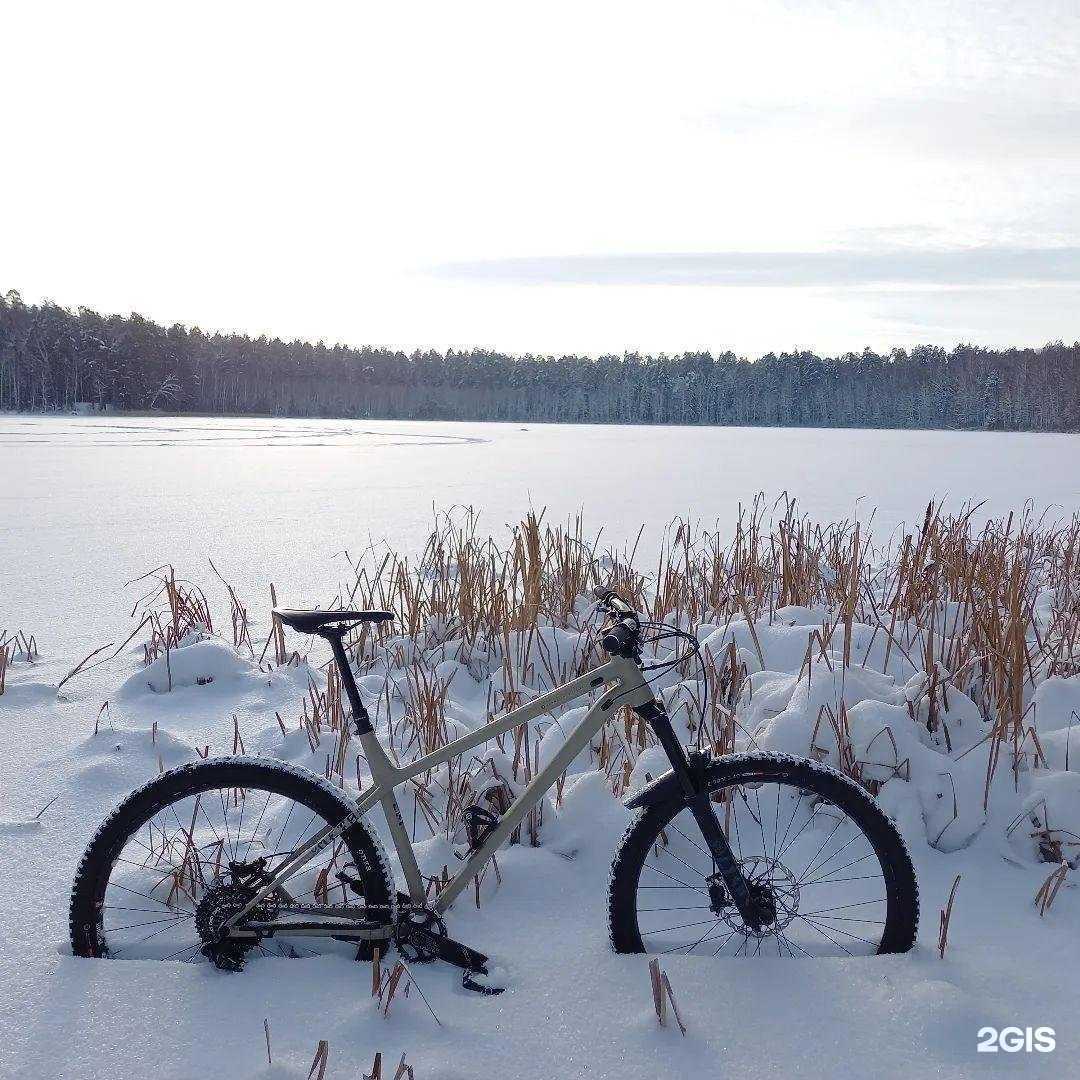 Отзывы на компанию Peloton в Чебоксарах c фото
