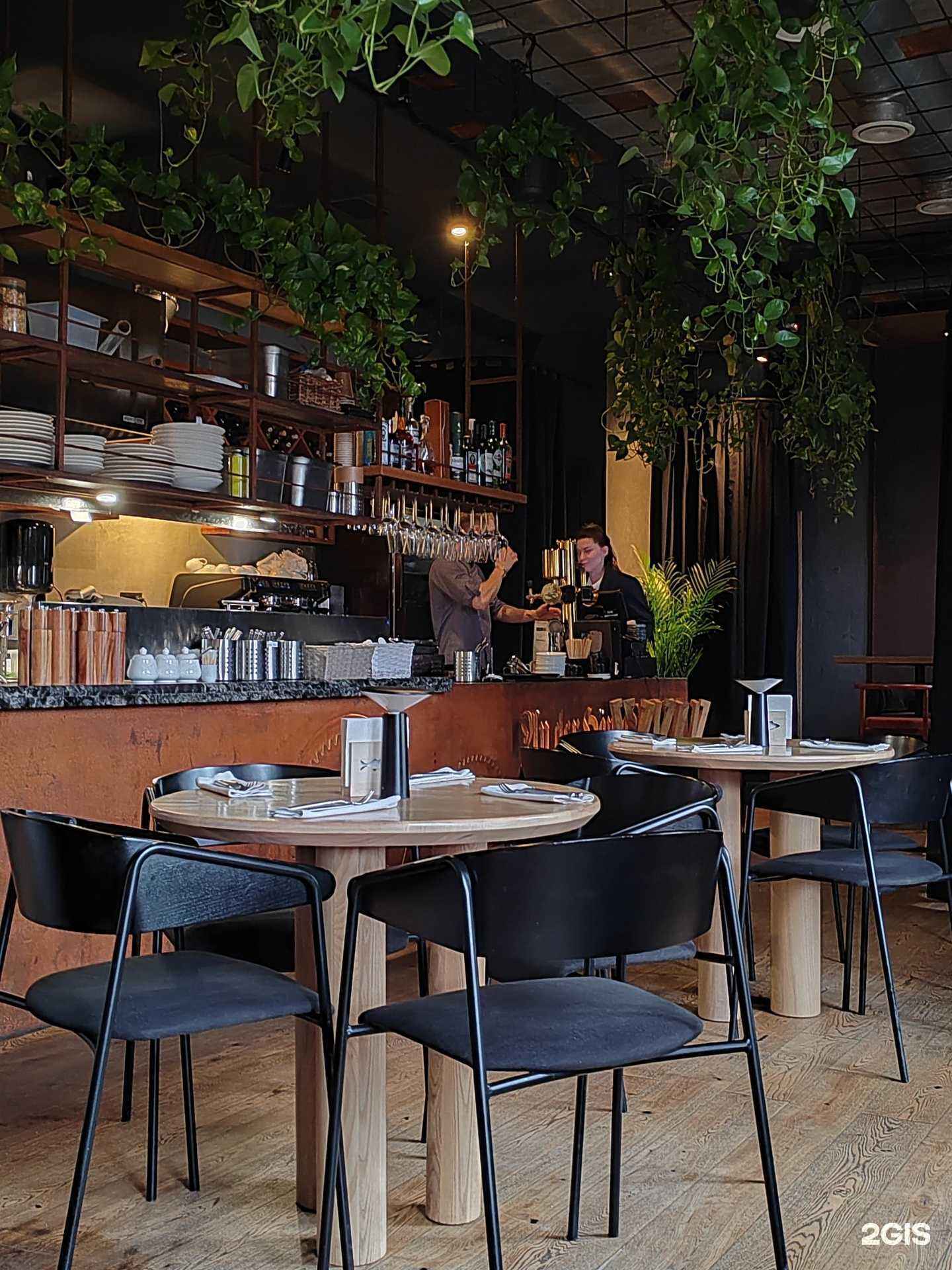 Отзывы на компанию Судак в Калининграде c фото