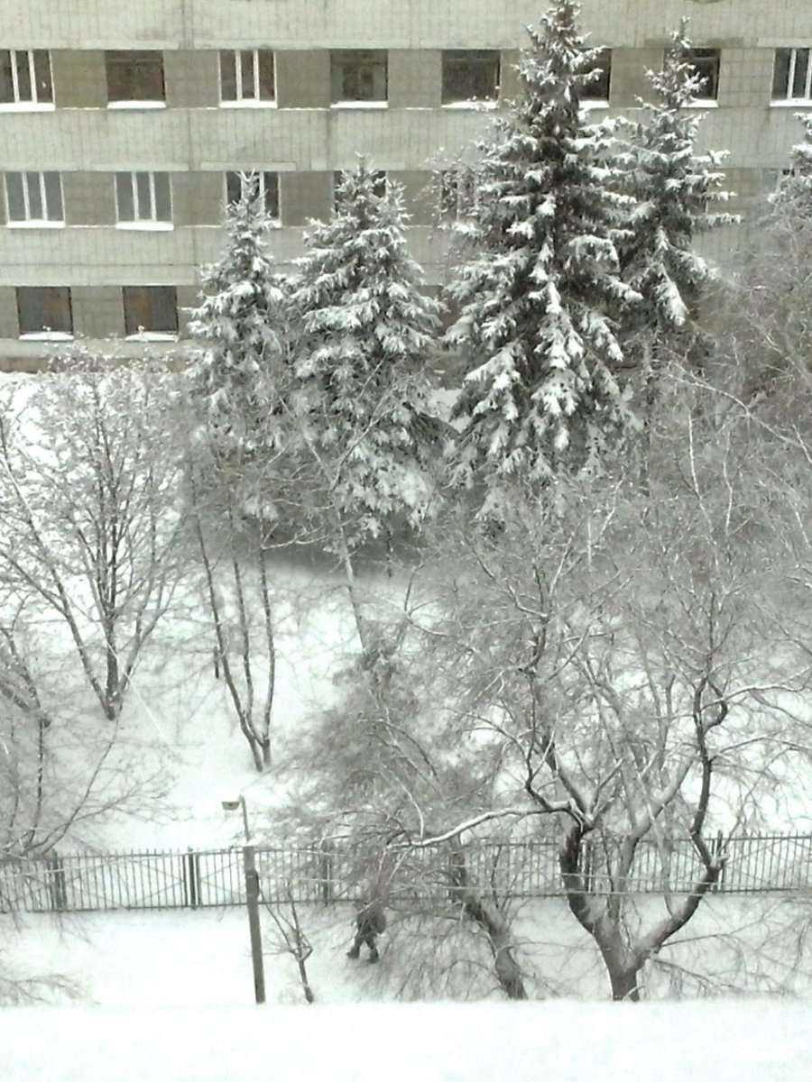 Отзывы на компанию Детская школа искусств №3 г. Омска в Омске c фото - фотография 2 из 2