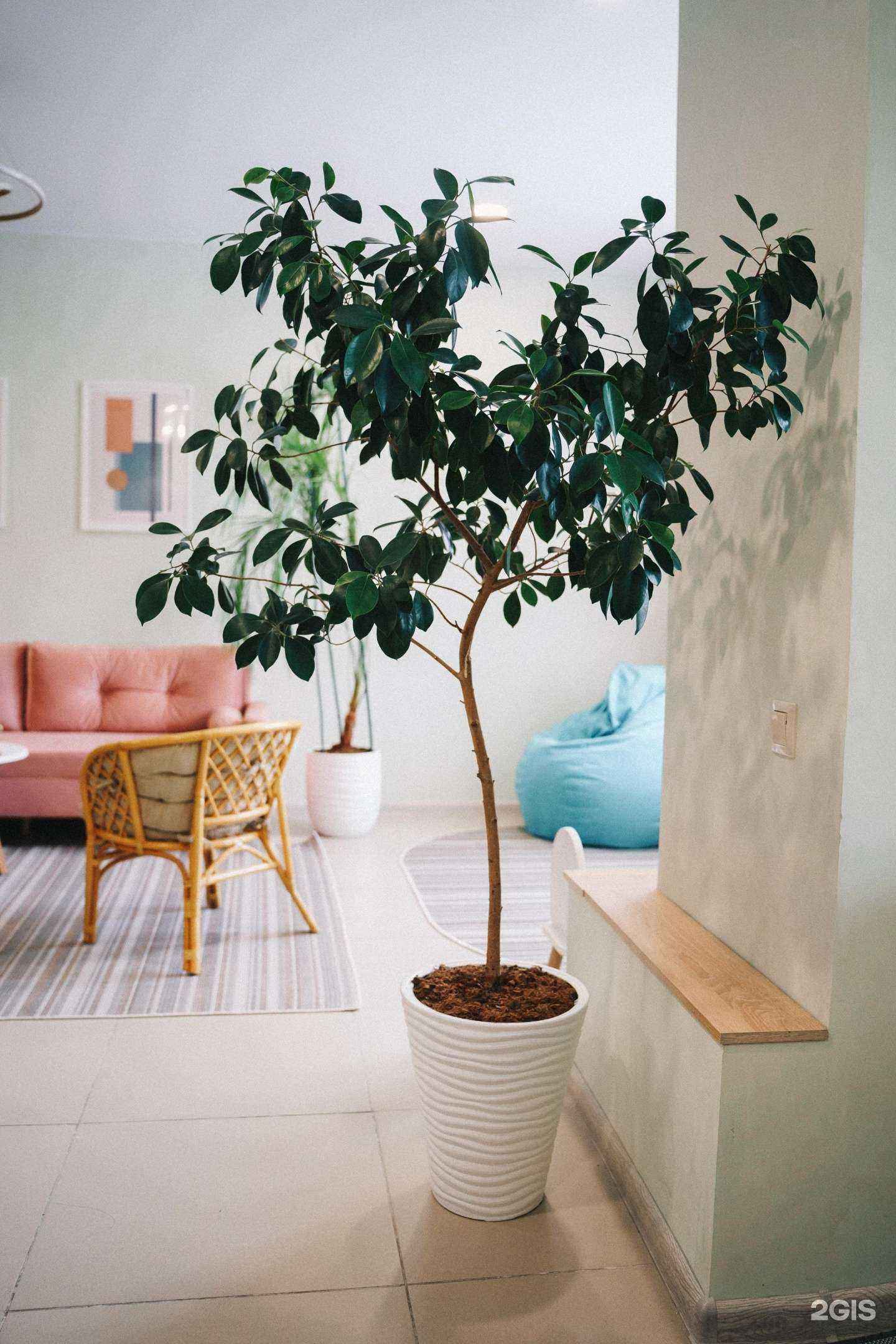 Отзывы на компанию SPA для тебя в г. Пенза c фото