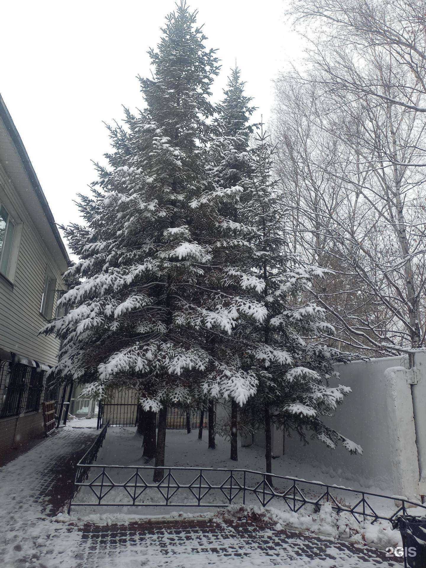 Отзывы на компанию Диадема в Хабаровске c фото - фотография 2 из 2