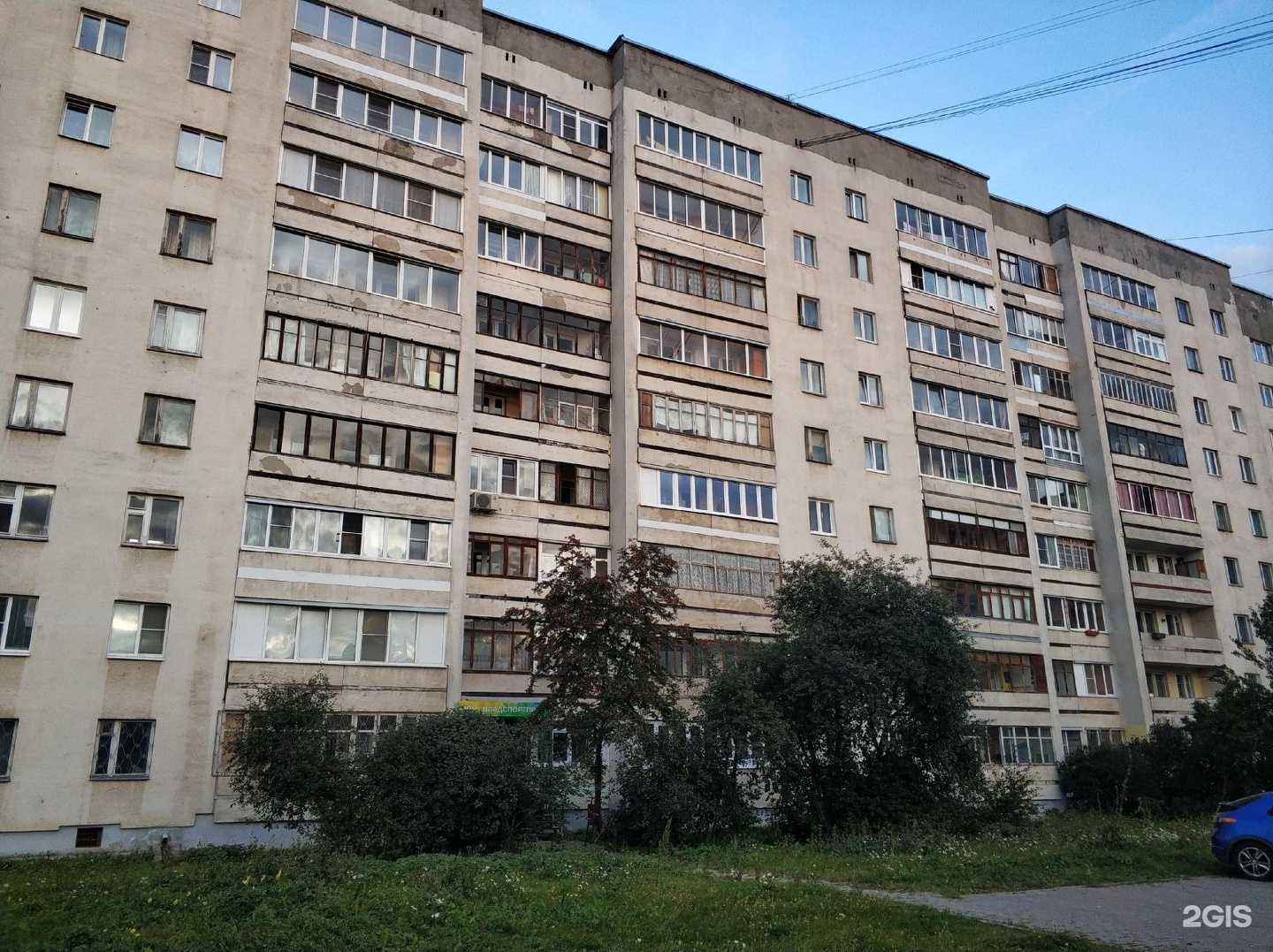 Отзывы на компанию Владспортпром в Владимире c фото - фотография 2 из 2