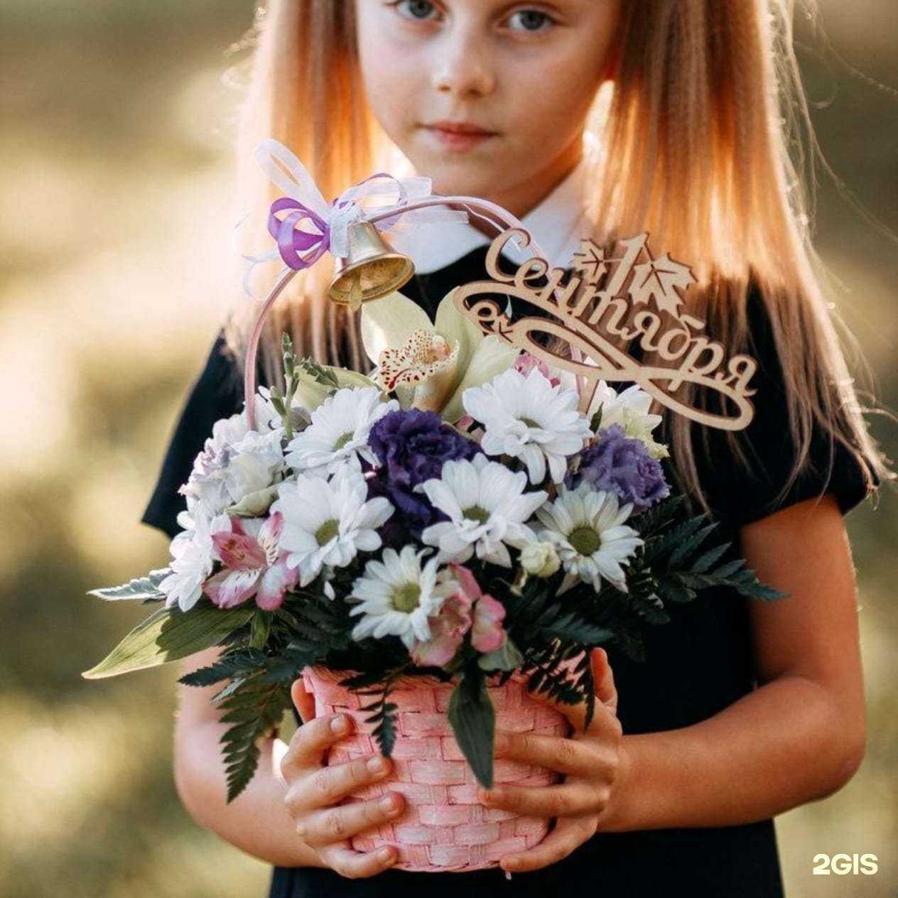 Отзывы на компанию Ваше Лето Барнаул в г. Барнаул c фото