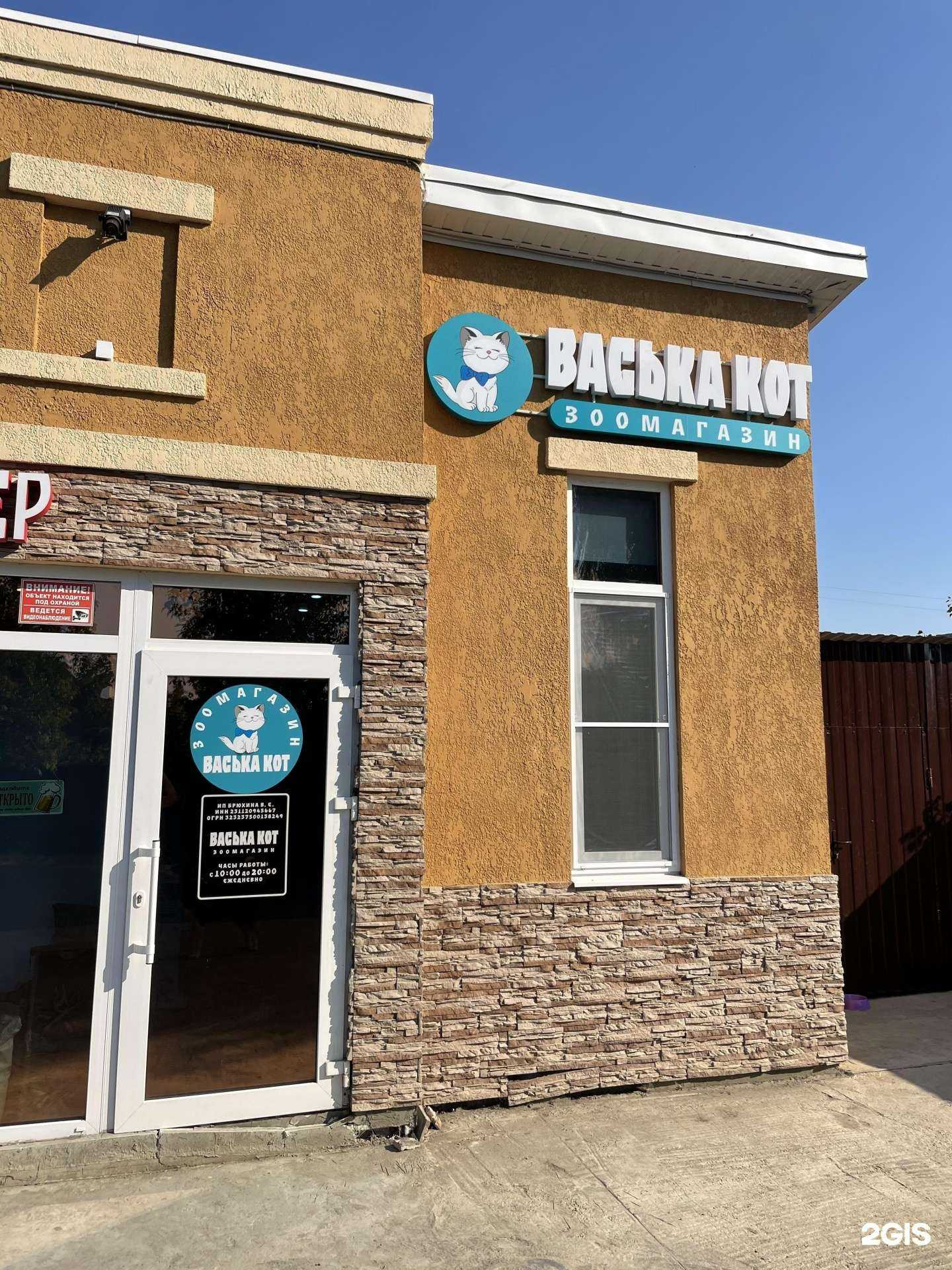 Отзывы на компанию Васька кот в Краснодаре c фото