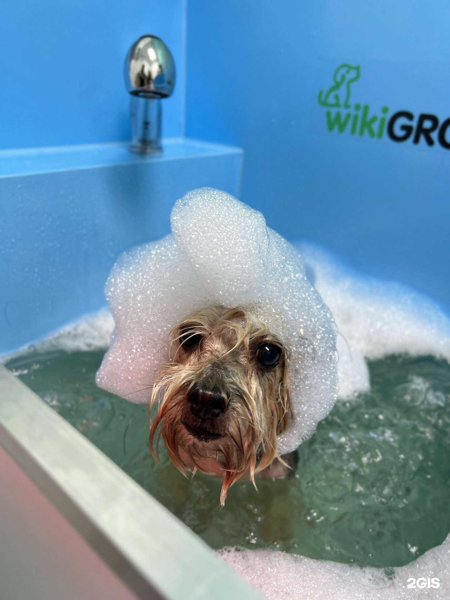 Отзывы на компанию Лакки в г. Астрахань c фото