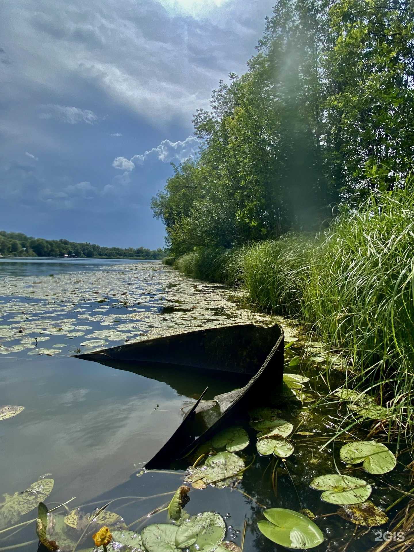 Отзывы на компанию Раздолье в г. Самара c фото