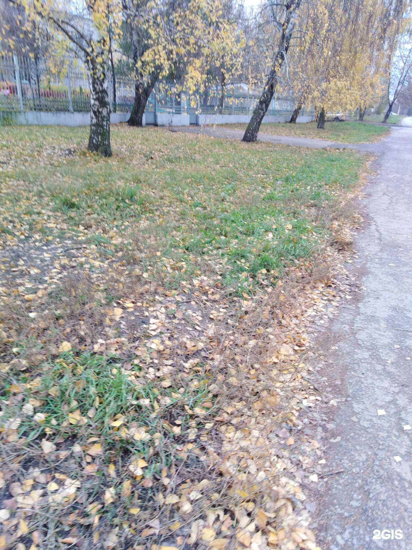 Отзывы на компанию Возрождение в г. Тамбов c фото