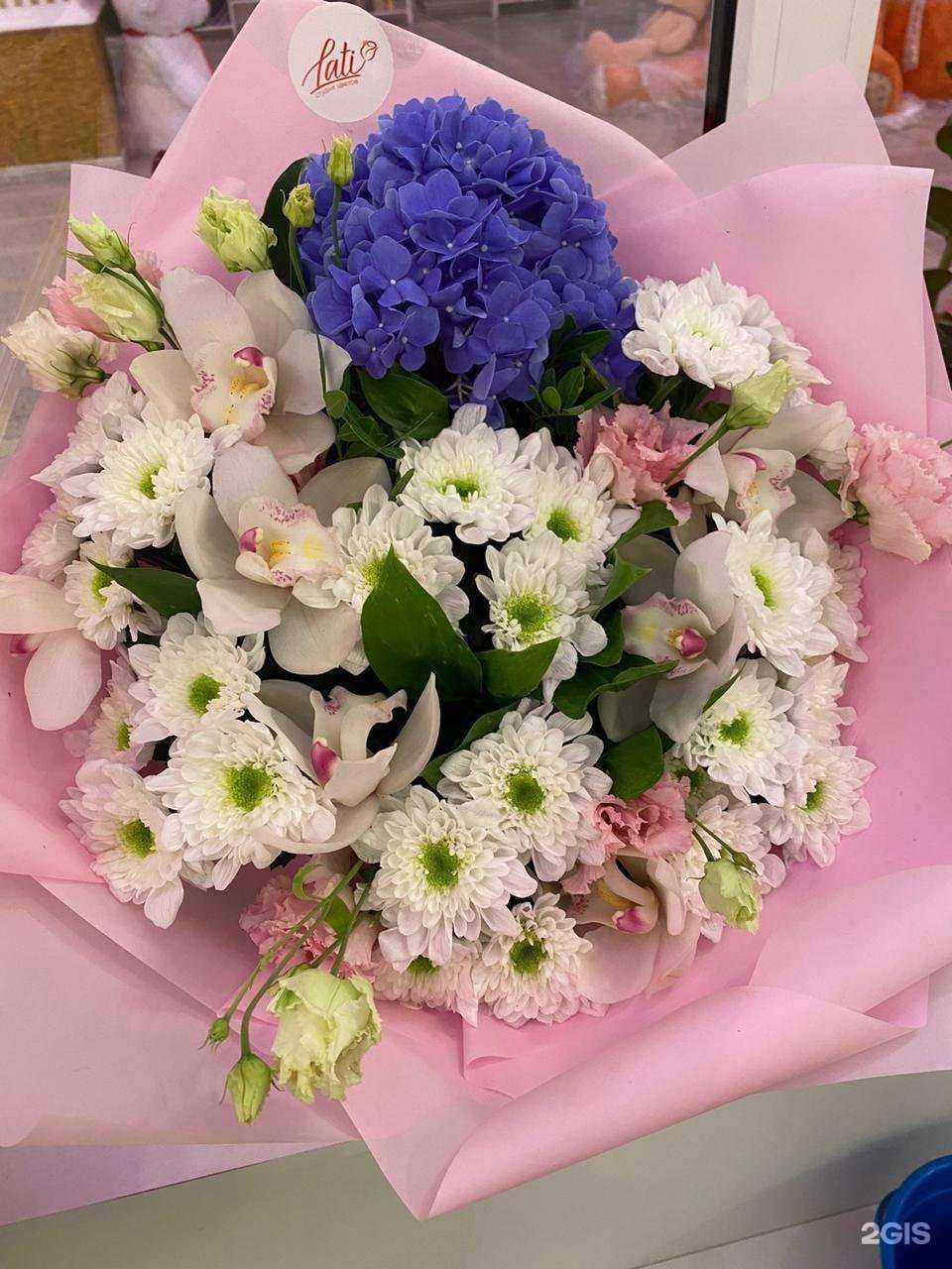 Отзывы на компанию Lati  в Новосибирске c фото