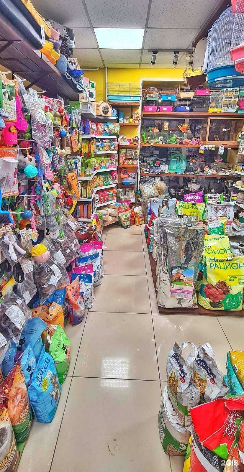 Отзывы на компанию Рыжий Кот 31 в Белгороде c фото