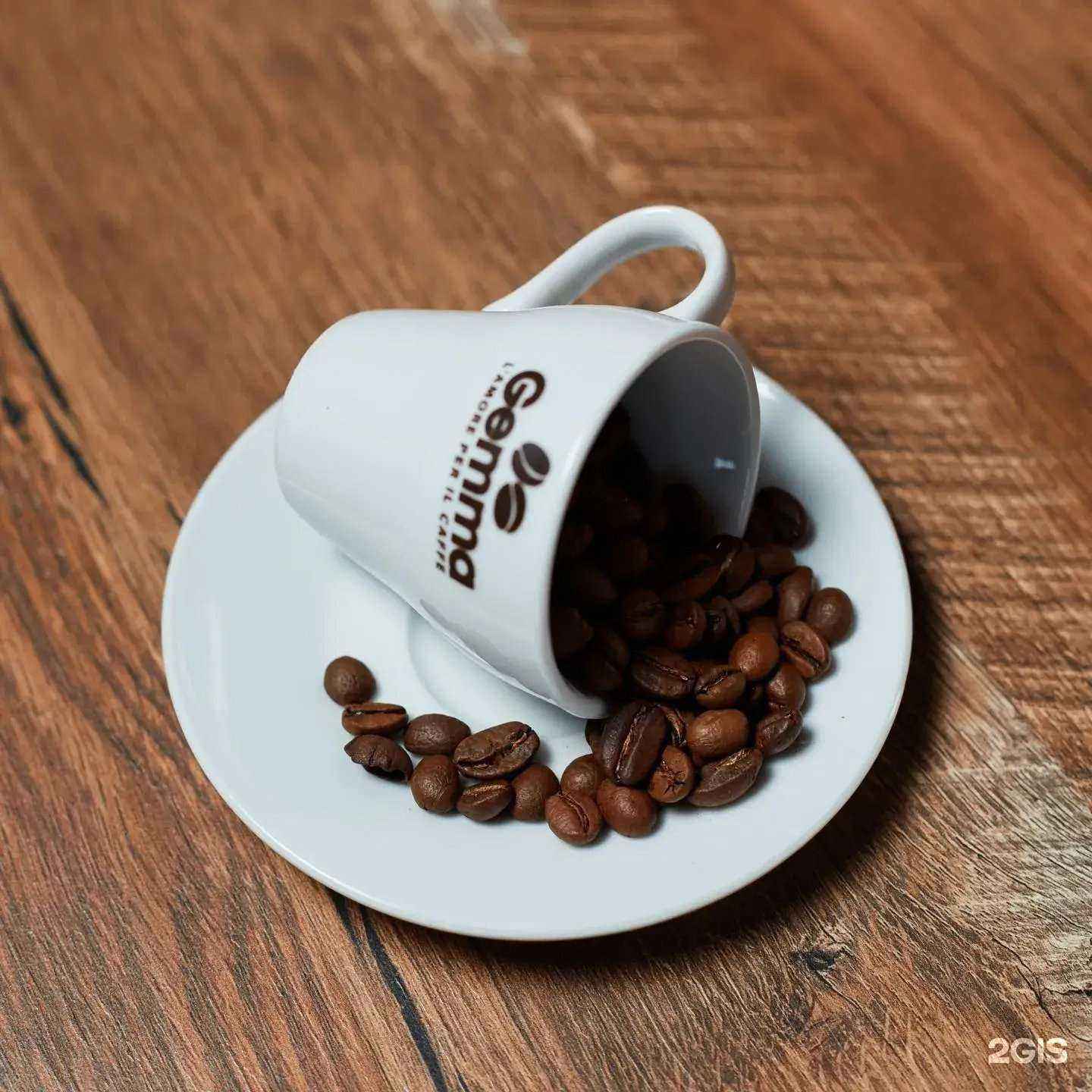 Отзывы на компанию Gemma Coffee в г. Воронеж c фото