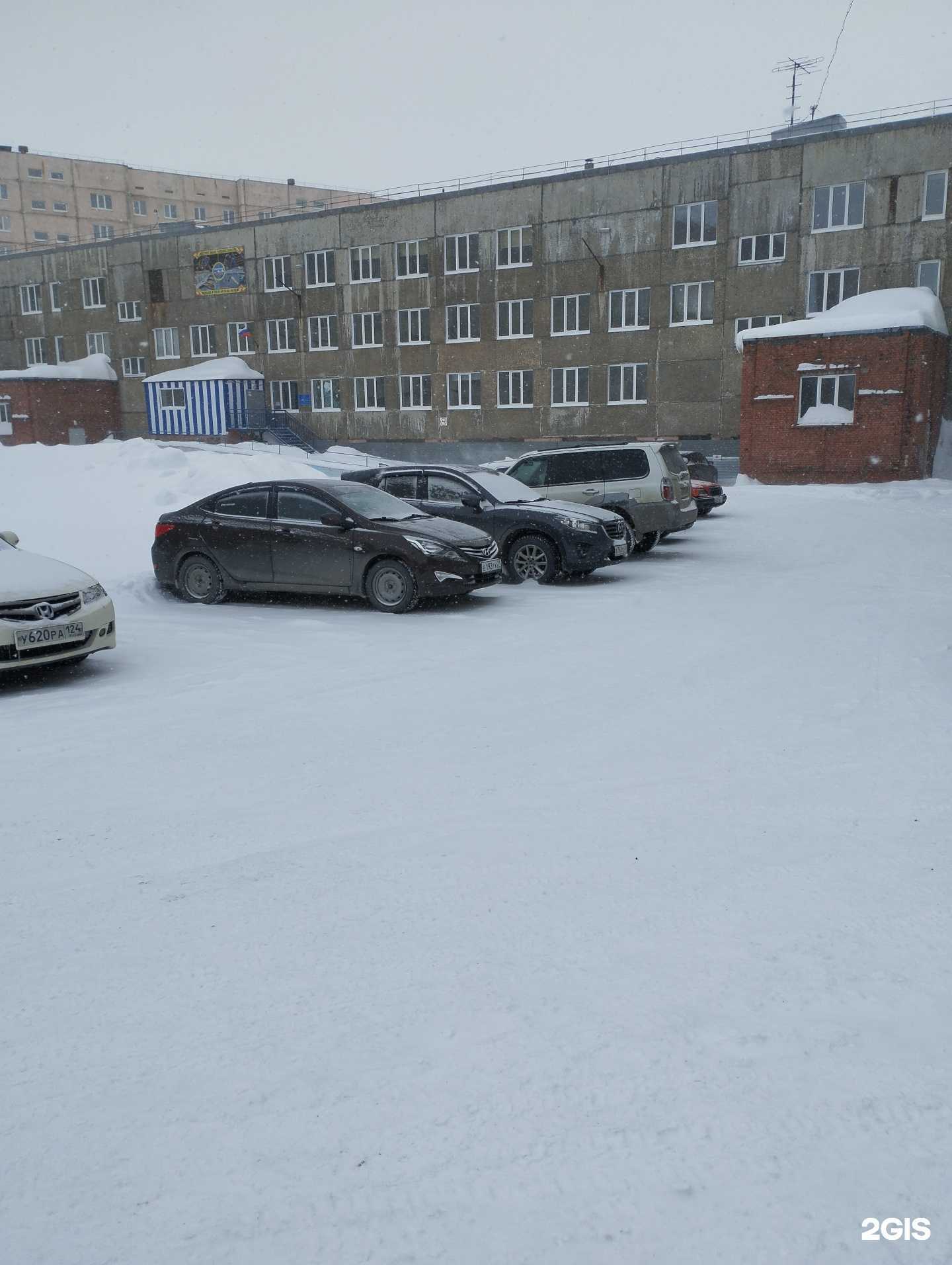 Отзывы на компанию Спортивная школа №4 в Норильске c фото - фотография 2 из 2