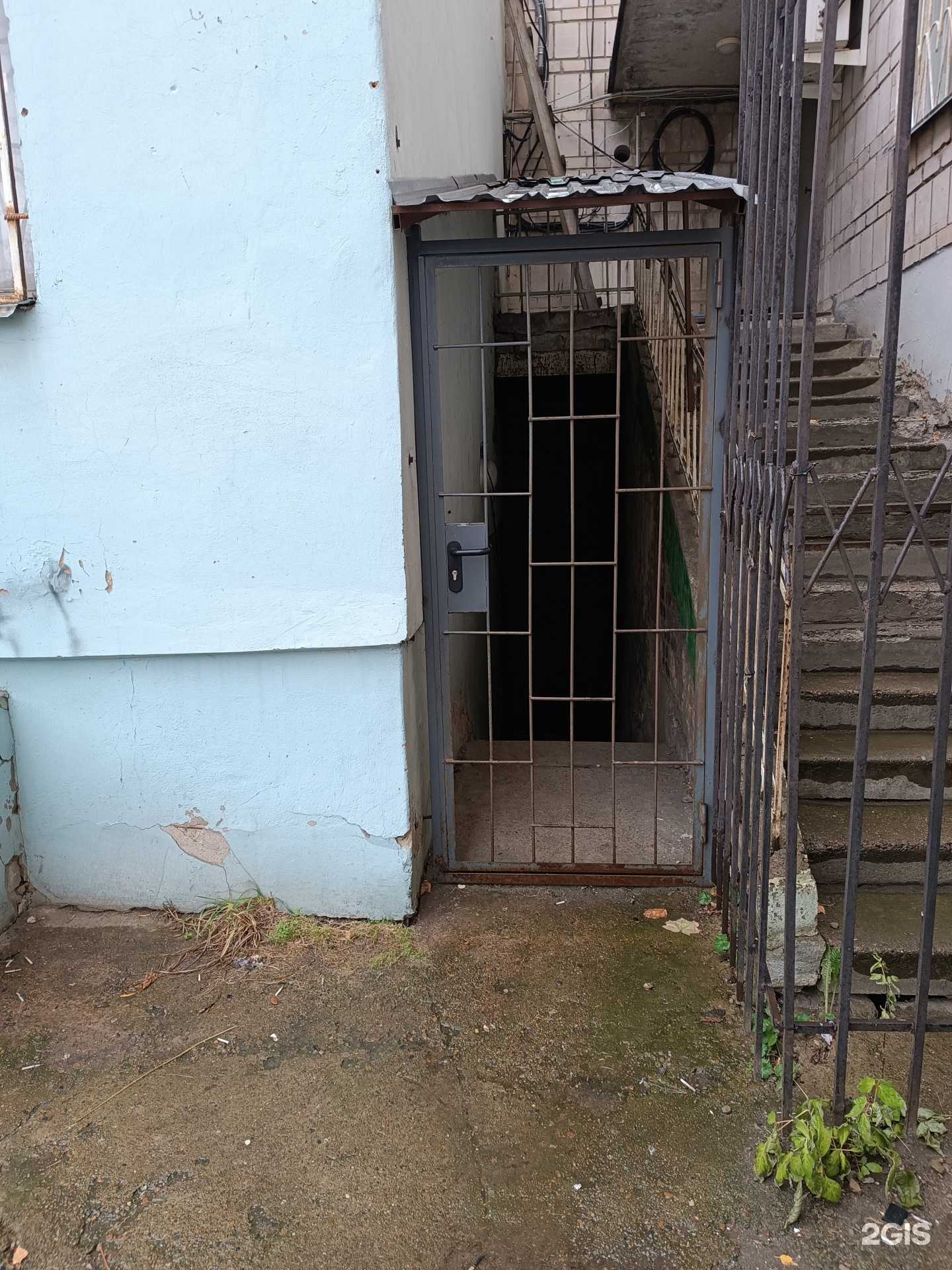 Отзывы на компанию Dog Paradise в Кирове c фото