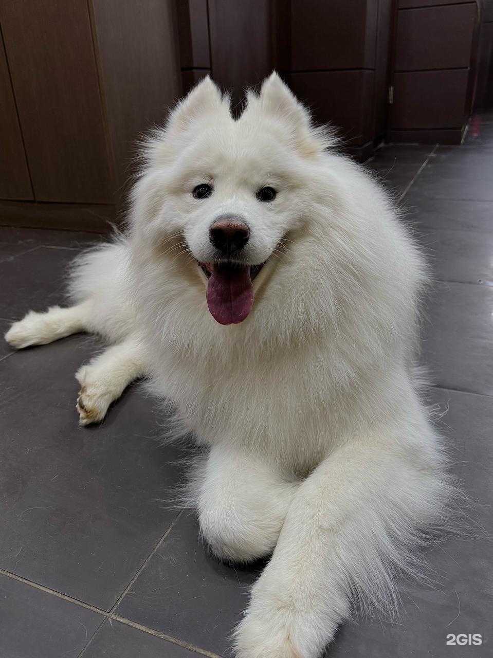 Отзывы на компанию Здравушка в Владивостоке c фото